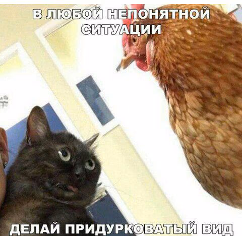 cc9bb2dff959e50fce6703ddaecba106.jpg