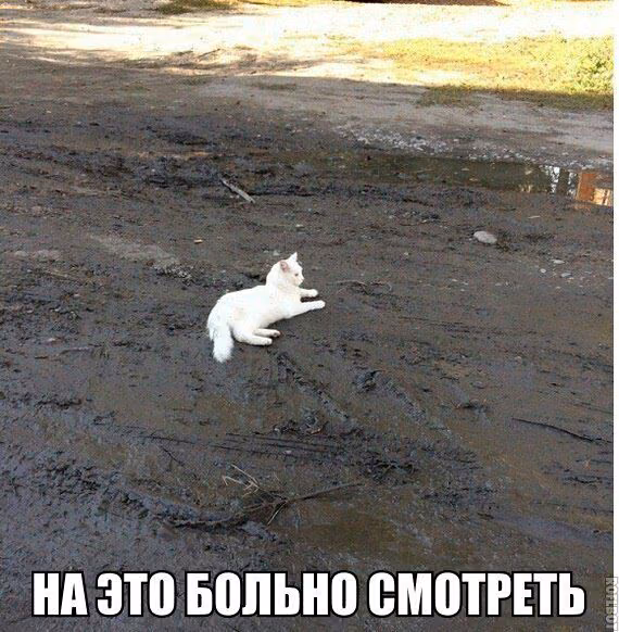 cca4ec1d51fc8b8155e483a8637584b0.avif