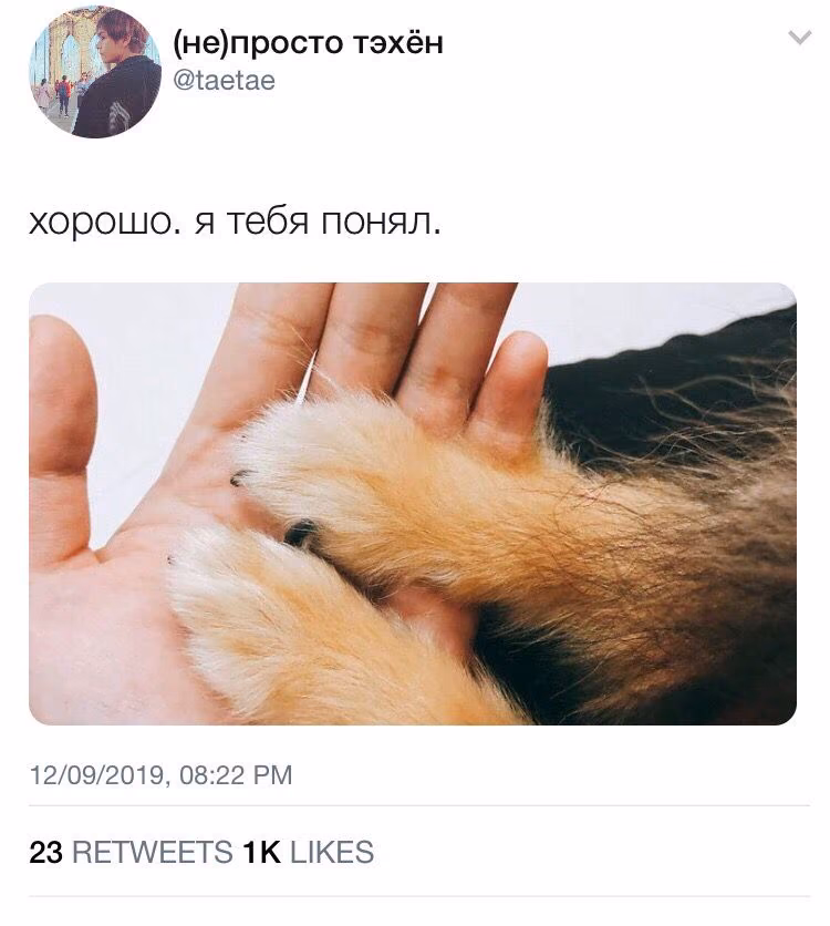 ccafe8e68676e83ac1651ff09c5864c6.avif