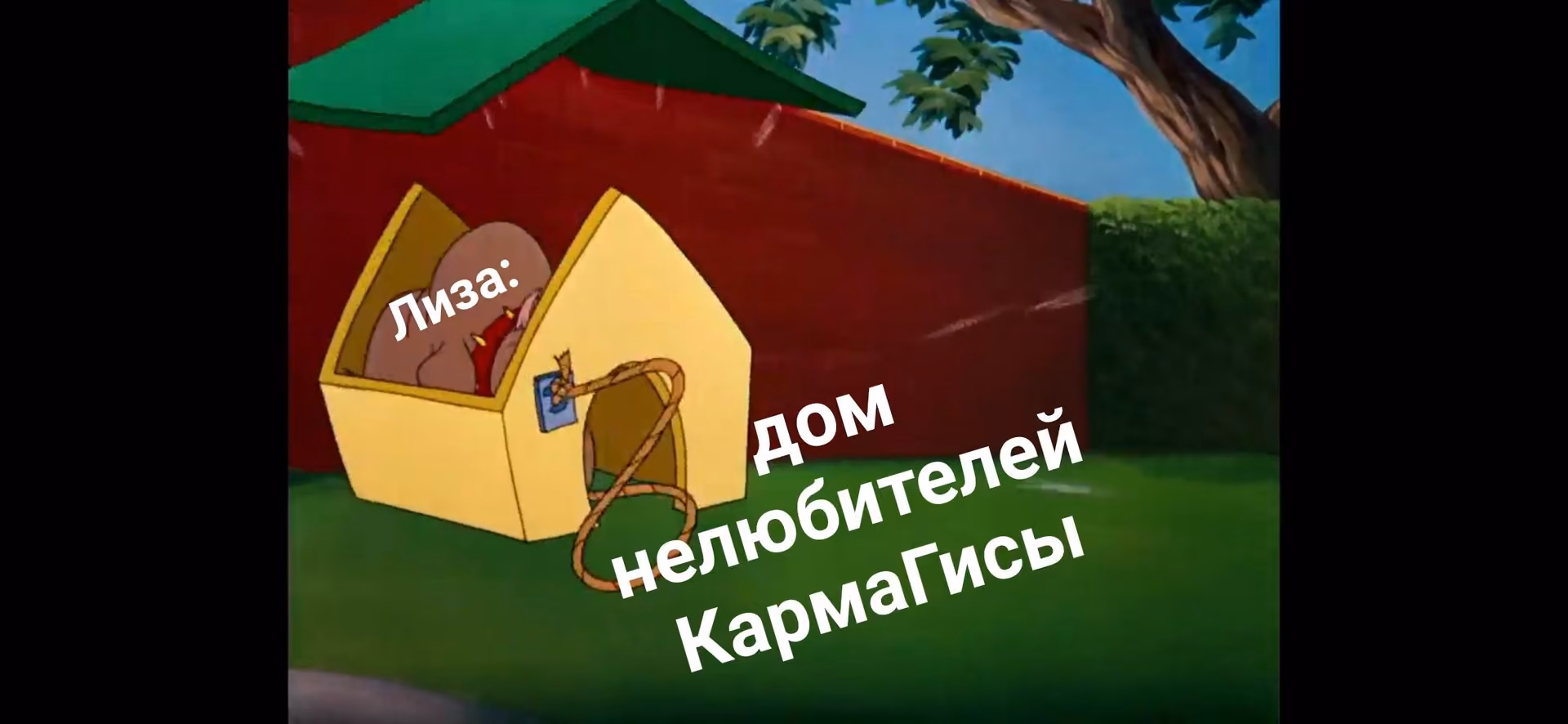ccc2c14f6dbade0fc4e37a20a0f16e43.jpg