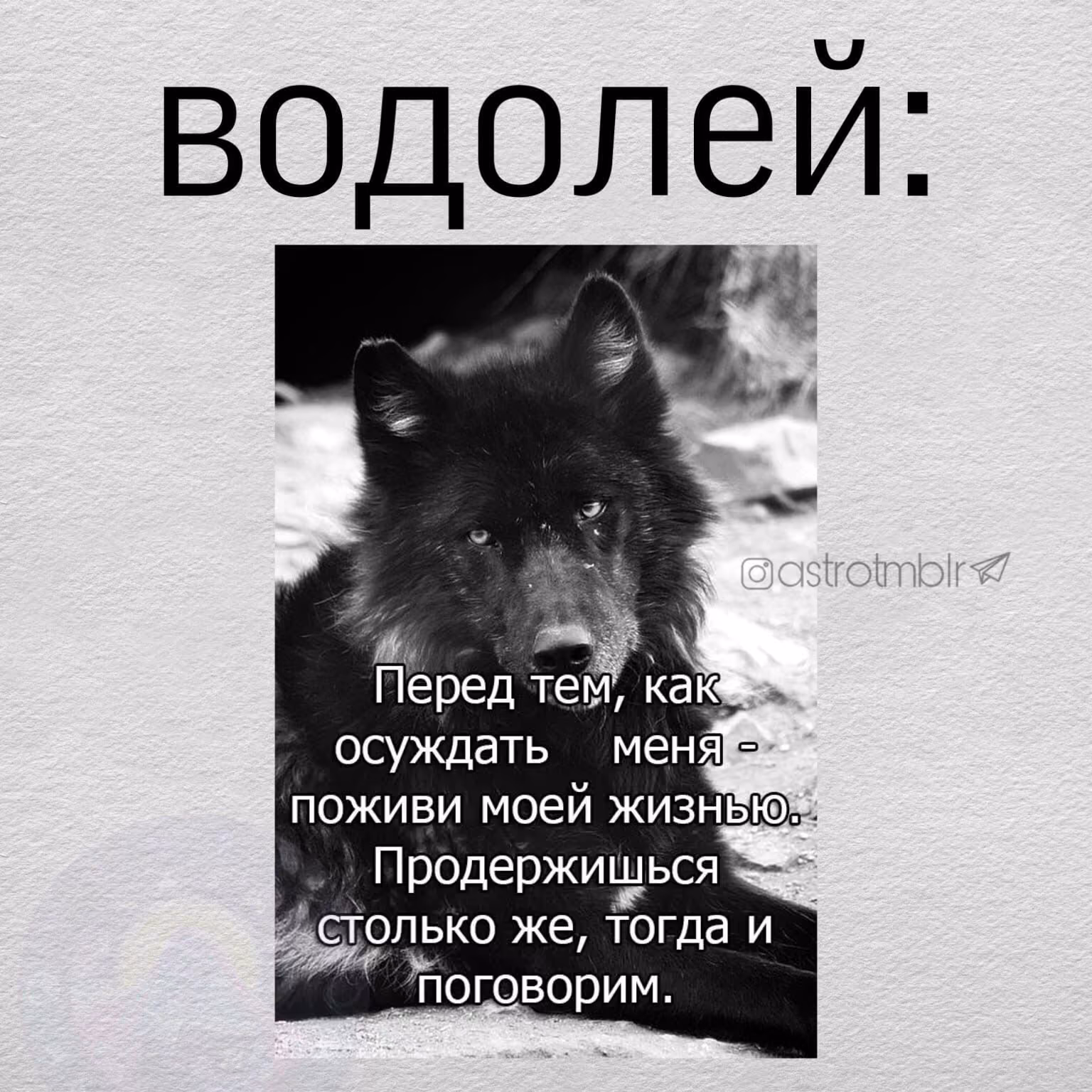 ccc52d17053feff823e2ce8319deca4a.avif