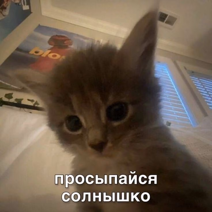 ccdf5462ade13169410583314d50ad51.jpg