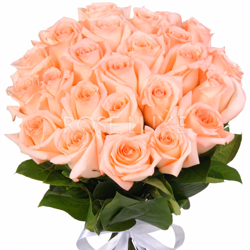 cce0efda5a026fc3f065372be1654f26.avif