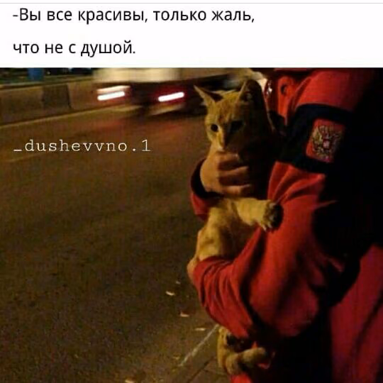 ccf5a78e00d7e0f4ff854a9f7ada8c37.avif