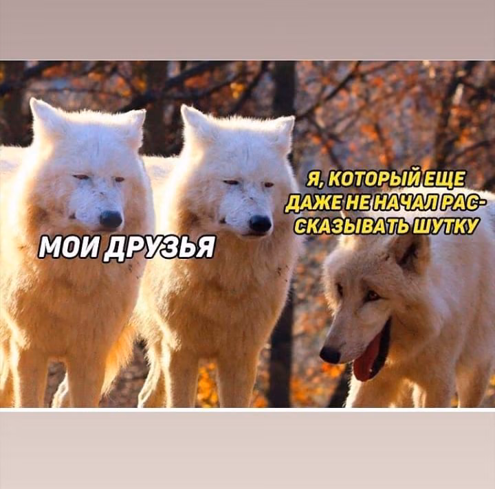 ccf774d565d05adae2a0441266521aa6.jpg