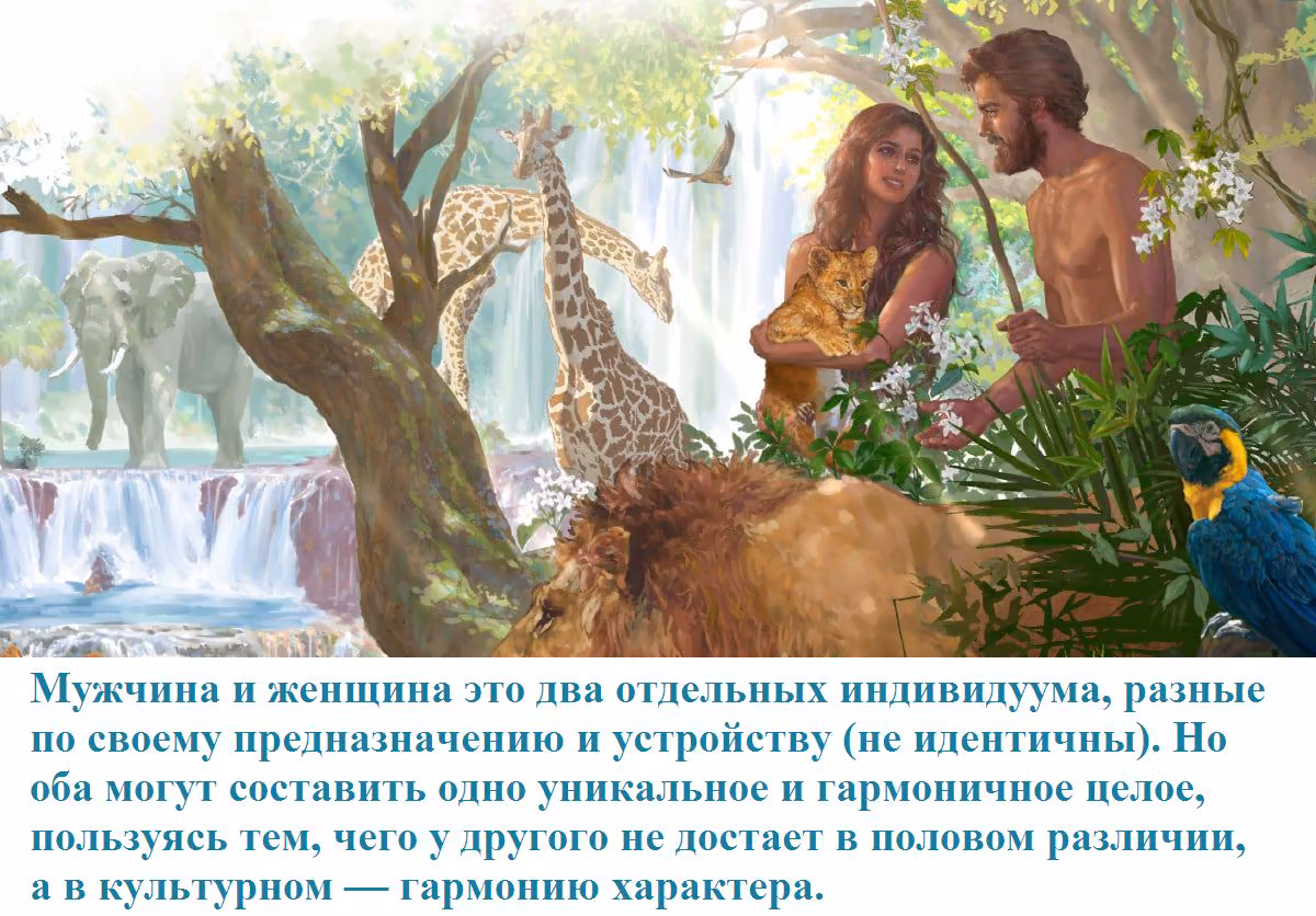 cd1cbf2571a773f3515556117db39887.avif