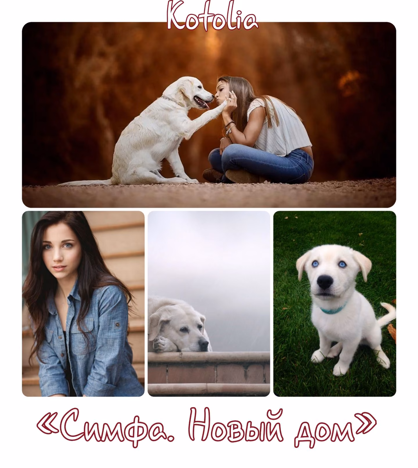 cd1d55e2cd1a670cc2e2a5cc22ab26a1.avif