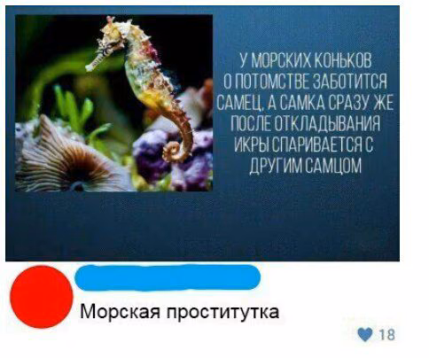 cd305c32c2b0eae0920c46943d8119c4.avif