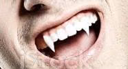 cd44ad62ad4312102dee19352c0cfb5d.jpg