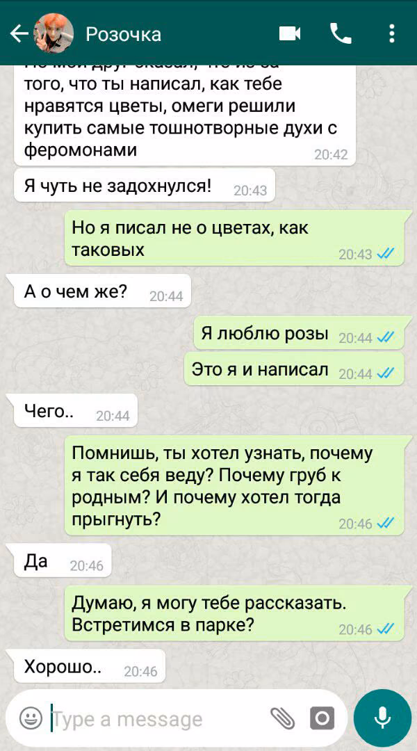 cd49a522e3bcf2b1154d6c8a030cf58e.avif
