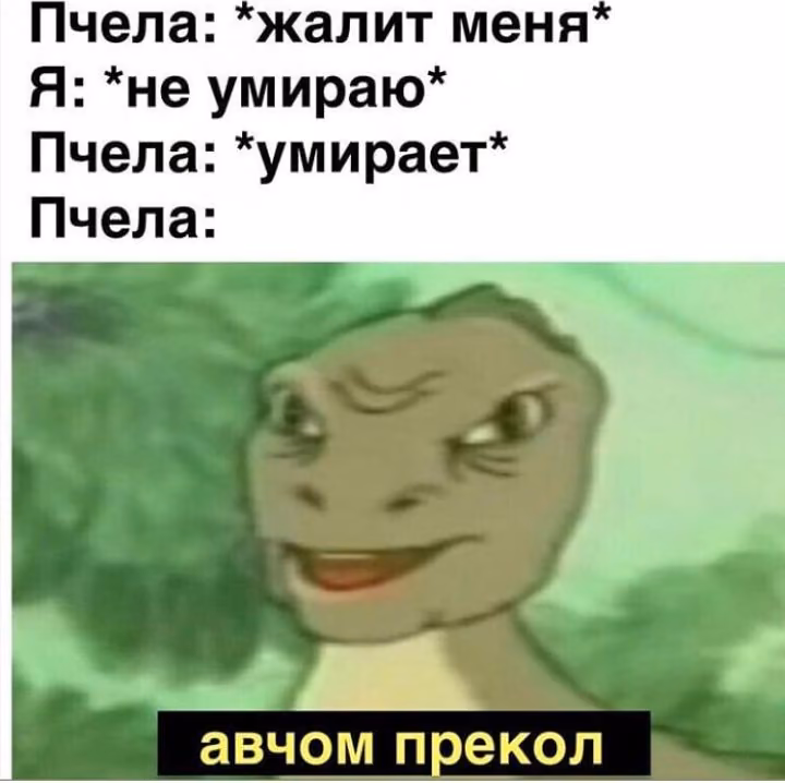 cd60f5e35b8ebaf94922bf6c26a13d01.jpg