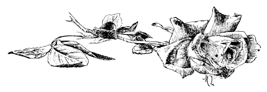ff222f9b82bf383bf4f5eedc8f75208a.jpg