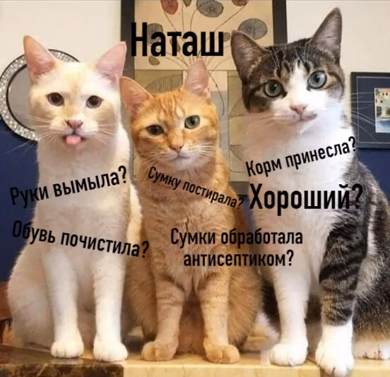cd75e781bb9e07b97dfe7fb80175c9dc.jpg