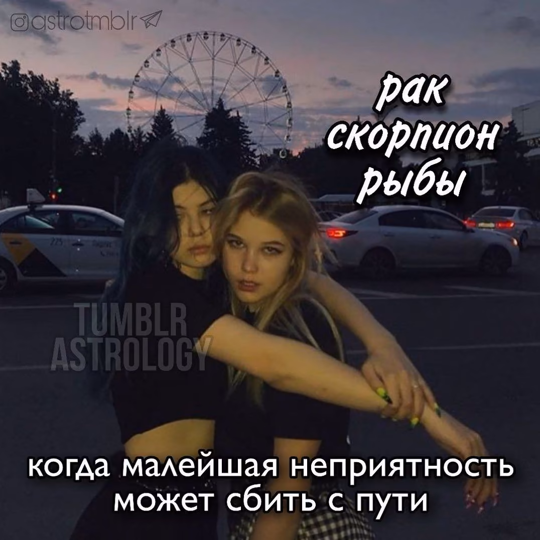 cd860a1658d7aff5b54f63aed91da88f.avif