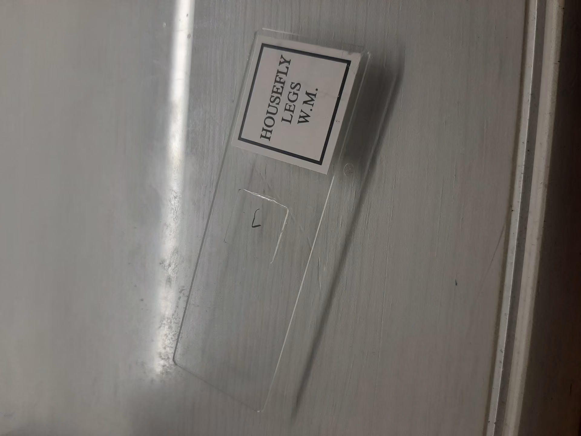 cdbf6fdbe85a7f7c67fd22f84601b133.jpg
