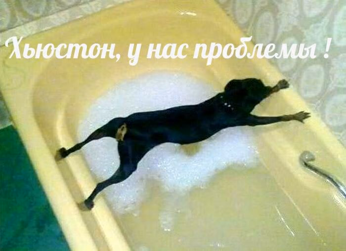 cdc8b0c159cbb7a878bcccb8701923f8.avif