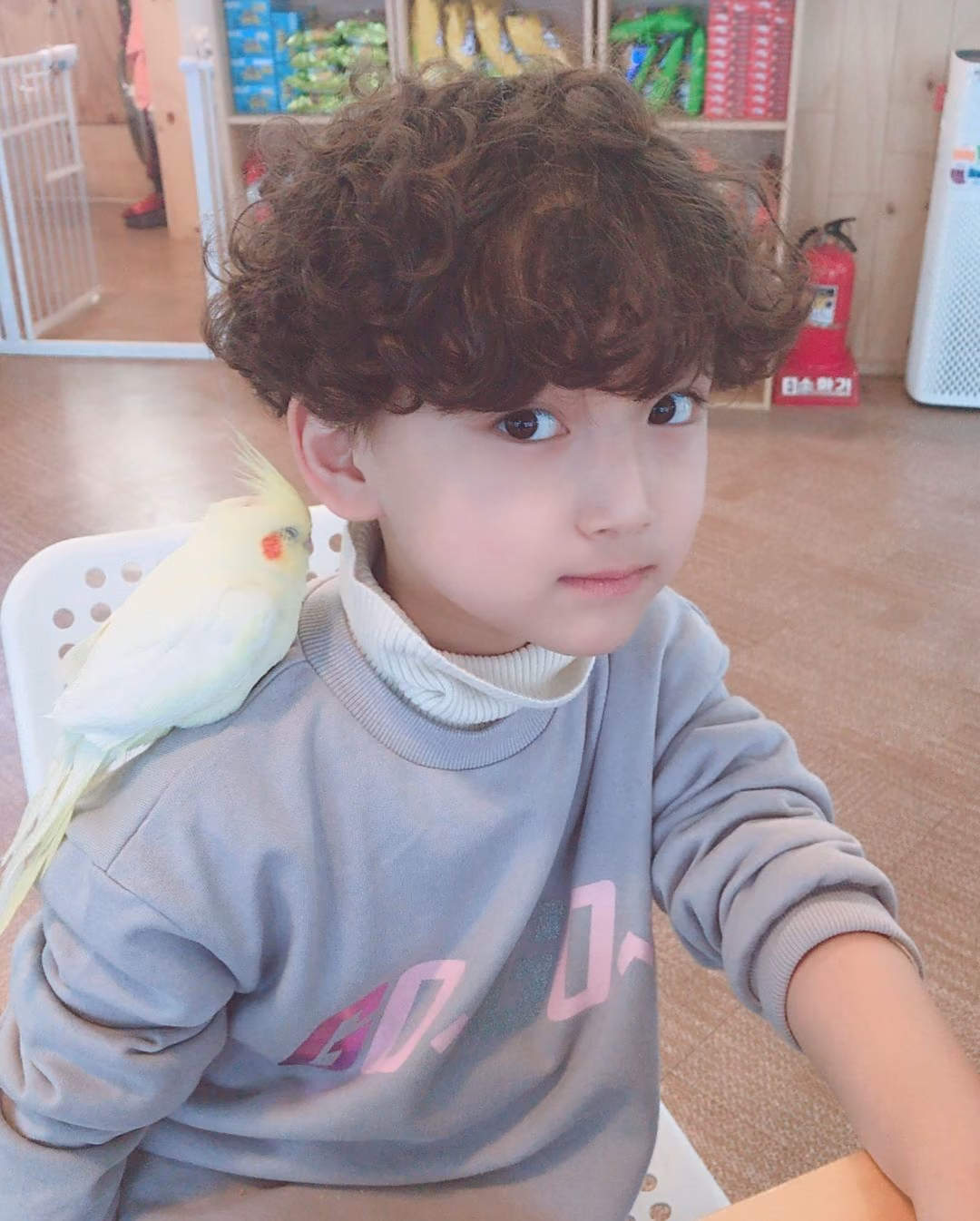 cddd2d7473ebaf87d37e4b9137777f9d.jpg