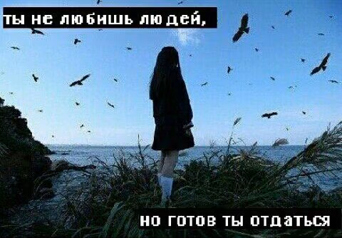 cdea038d58a2d7720692459c50a96de4.jpg