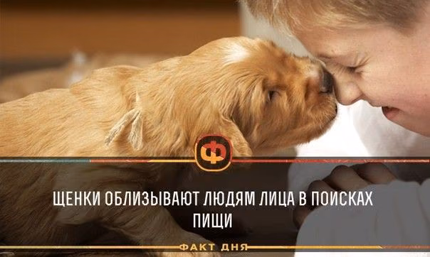 cdeb7127588fb87eaa35ac9a896a7bd7.jpg