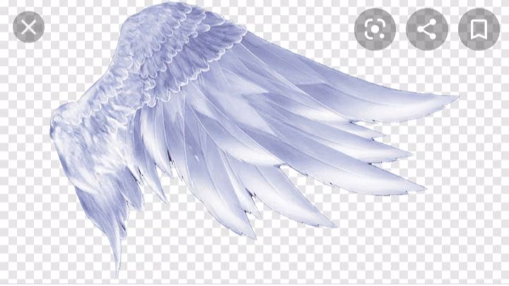 cdfafd2f2f0f9e4417b7fcd0ec562988.avif