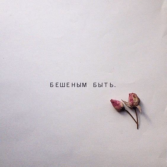 ce00d54bfa1cb8840ffb65f9d9b6d47e.avif