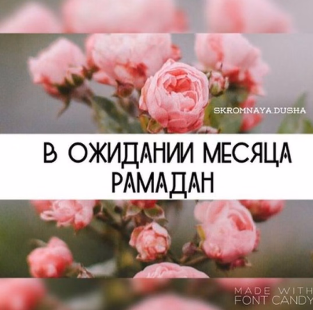 ce0254d56b6e33a1ac628af0a6731f54.jpg