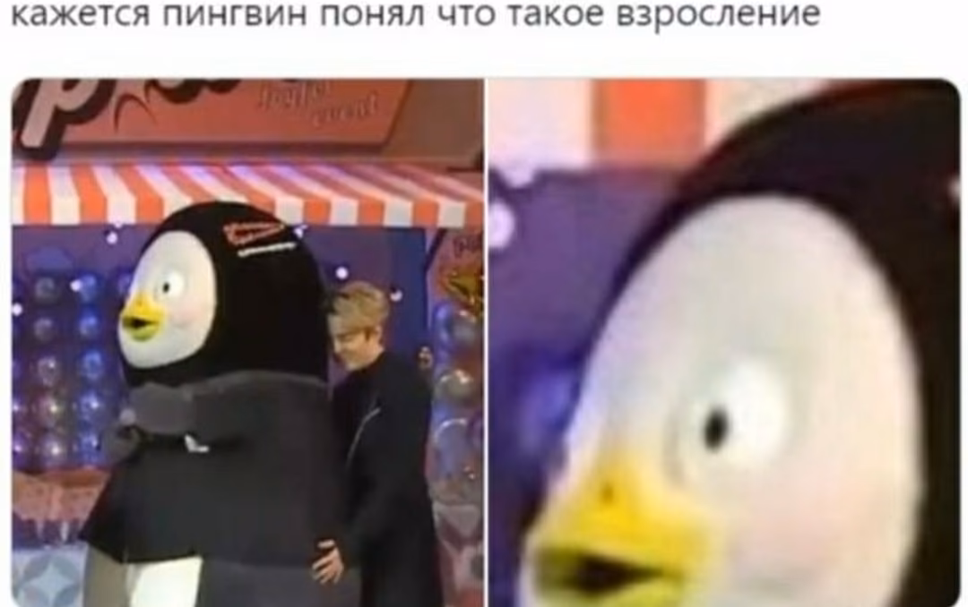 ce1b6ded1896fa09957559b4a1782af1.jpg