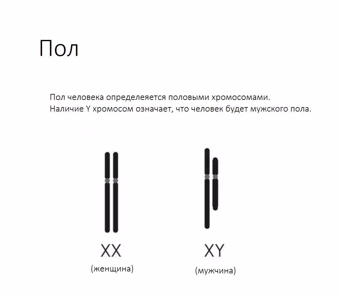 ce295d1b1ca270cefdca6e33c7361b6d.jpg
