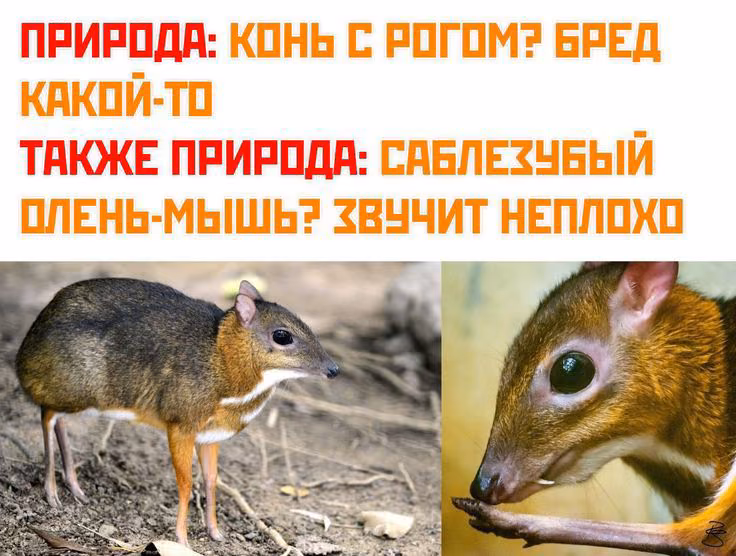 ce2b3dc9124095c7daec122f0a508e2a.avif