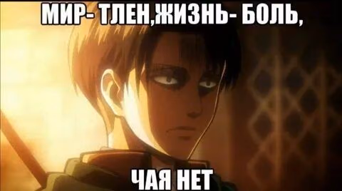 ce3247ba317b3634770e2c92df765066.avif