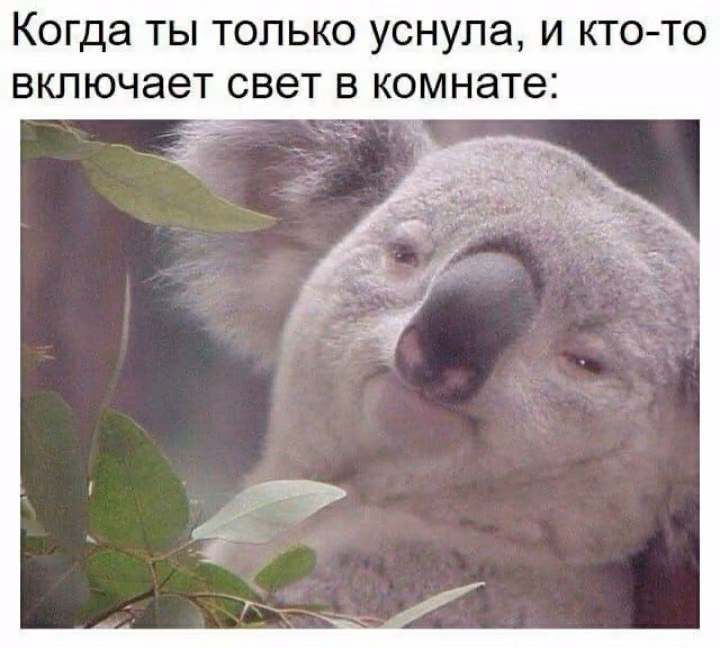 ce3272432641f830233231ff3c0f6402.avif