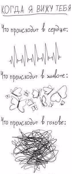 ce3633ee18e91bafcd302f76b641932a.avif