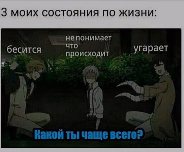 ce3fe4dd518498ce7a88473f6b15f4df.jpg