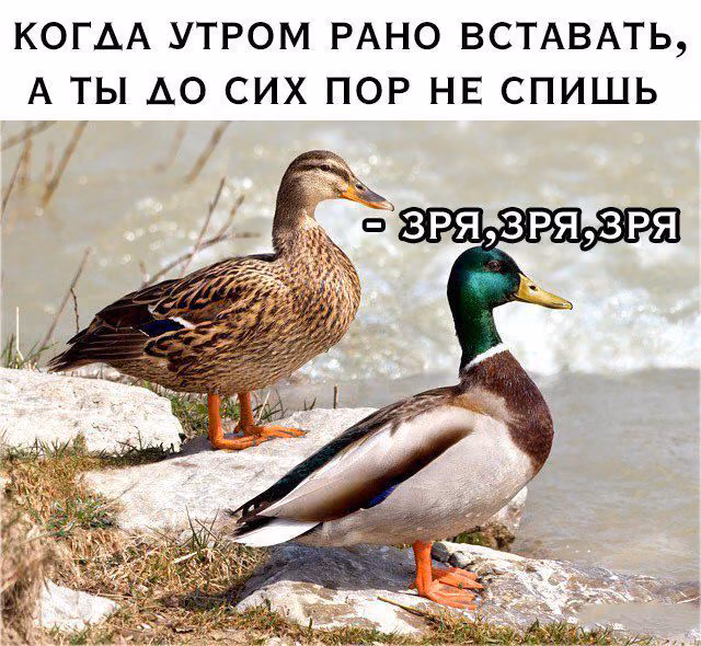 ce47a8a85d93cb12f9e4b28a03efb522.jpg