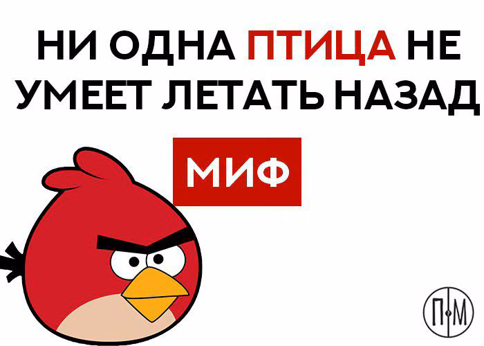 ce5af13a738cb5190705aaaa7abfd86f.jpg