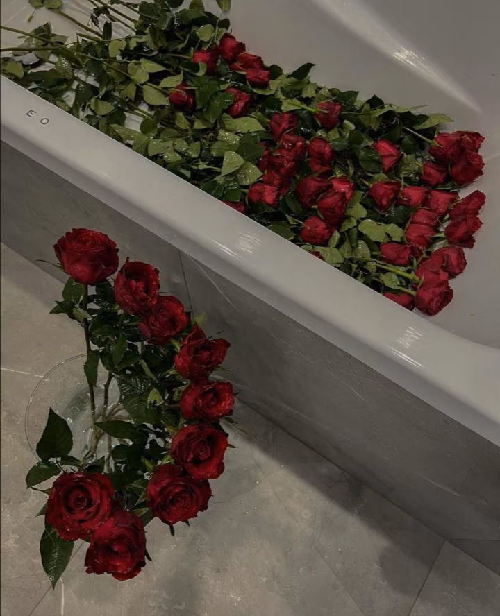 ce5d7f508e218c6ffe0a8bcc43b3854e.jpg
