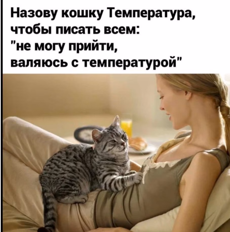 ce66ce511c970672cba2f95357272c1d.jpg
