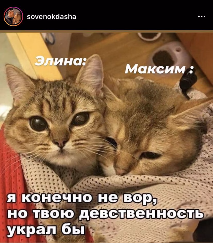 ce677b5df1f2fd32e5414260cce9a2e4.jpg