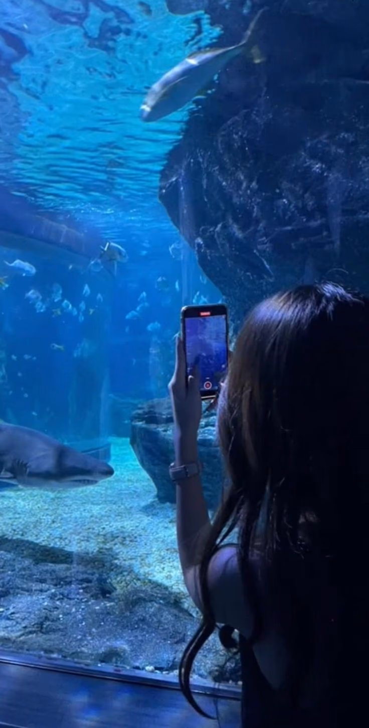 ceacead78b8f36f0bcc46defa58720b8.jpg