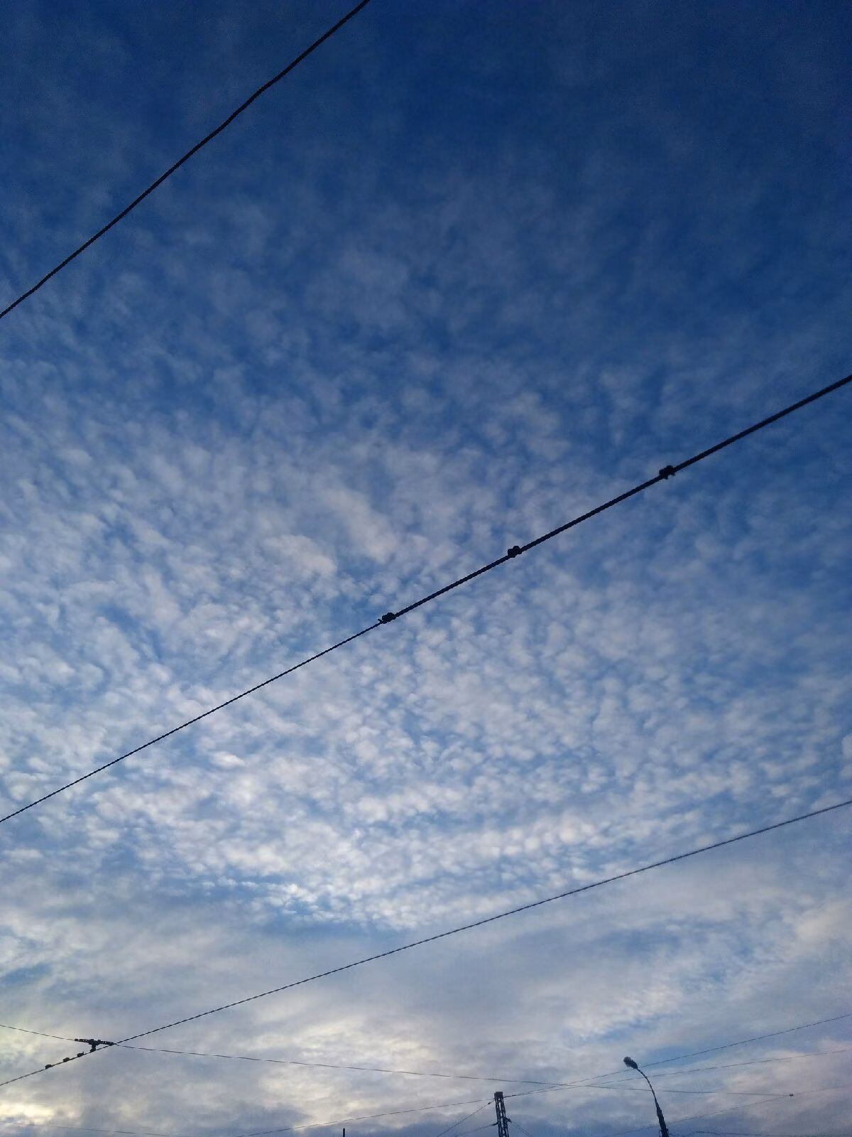 cebc22e1229bbc0b63a59db96c7412be.jpg