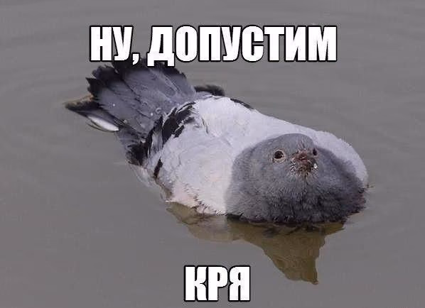 cebf2fd50dcf7cac847150c113db18d6.jpg