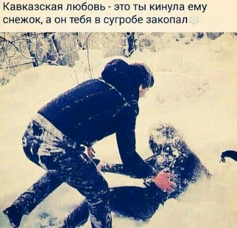 cec78dd7b7d110f1f6dd361ce69790d6.jpg