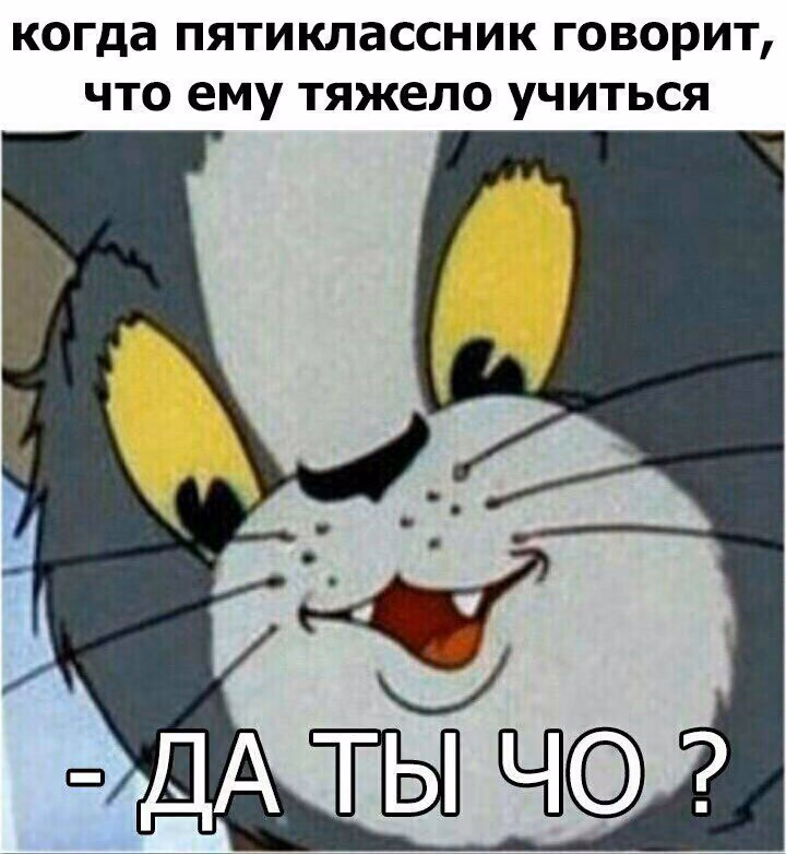 cec9f764cef1ec53979b841575128d24.avif