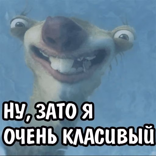 cee6398f10da5a20c1cc506ad51118fb.jpg