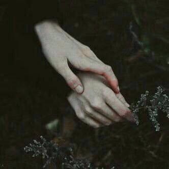 ceea1c66bd22f27156b7d103bda1d08f.avif