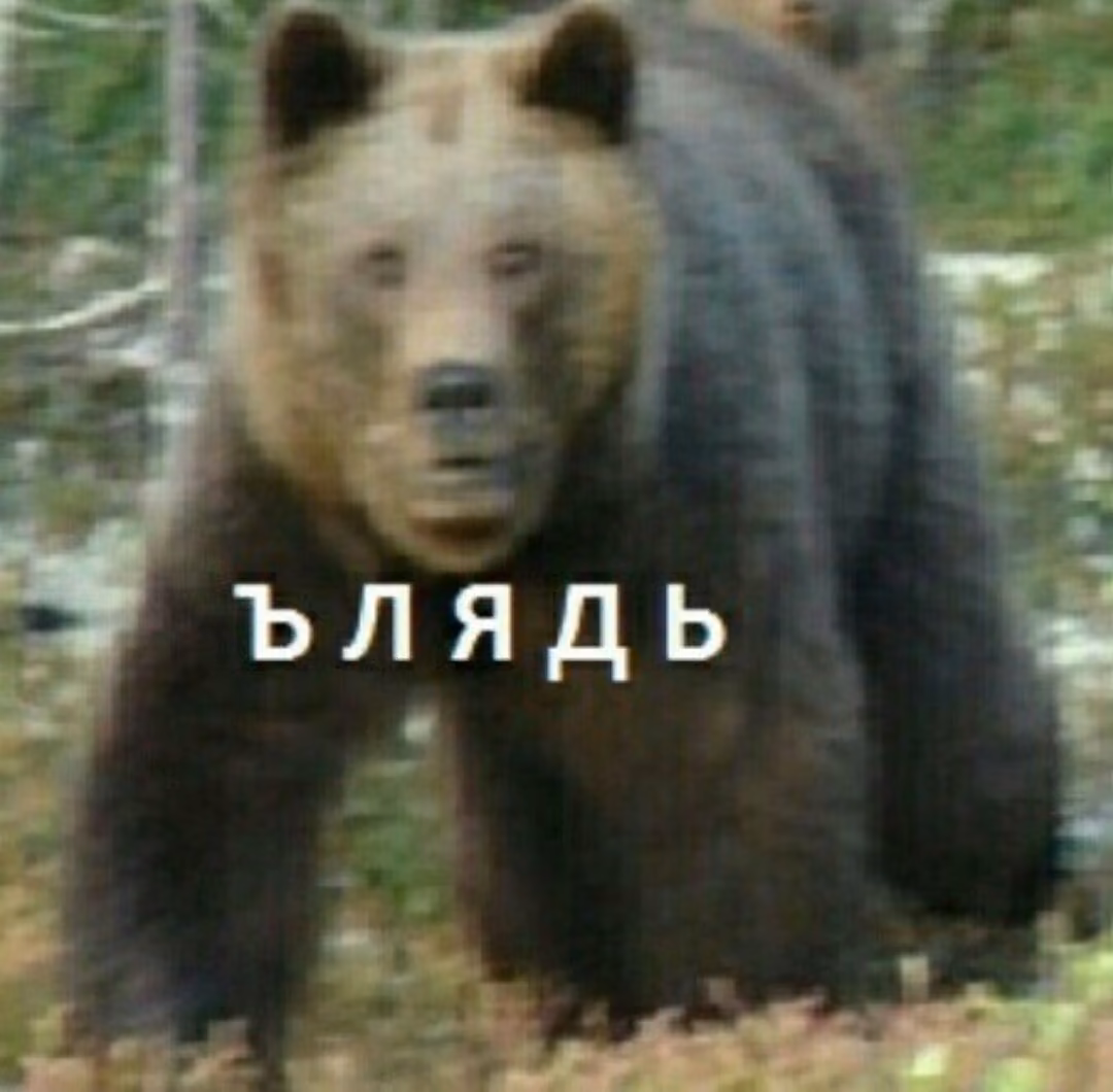cf052fcb2555ea8f49190597139c3700.avif