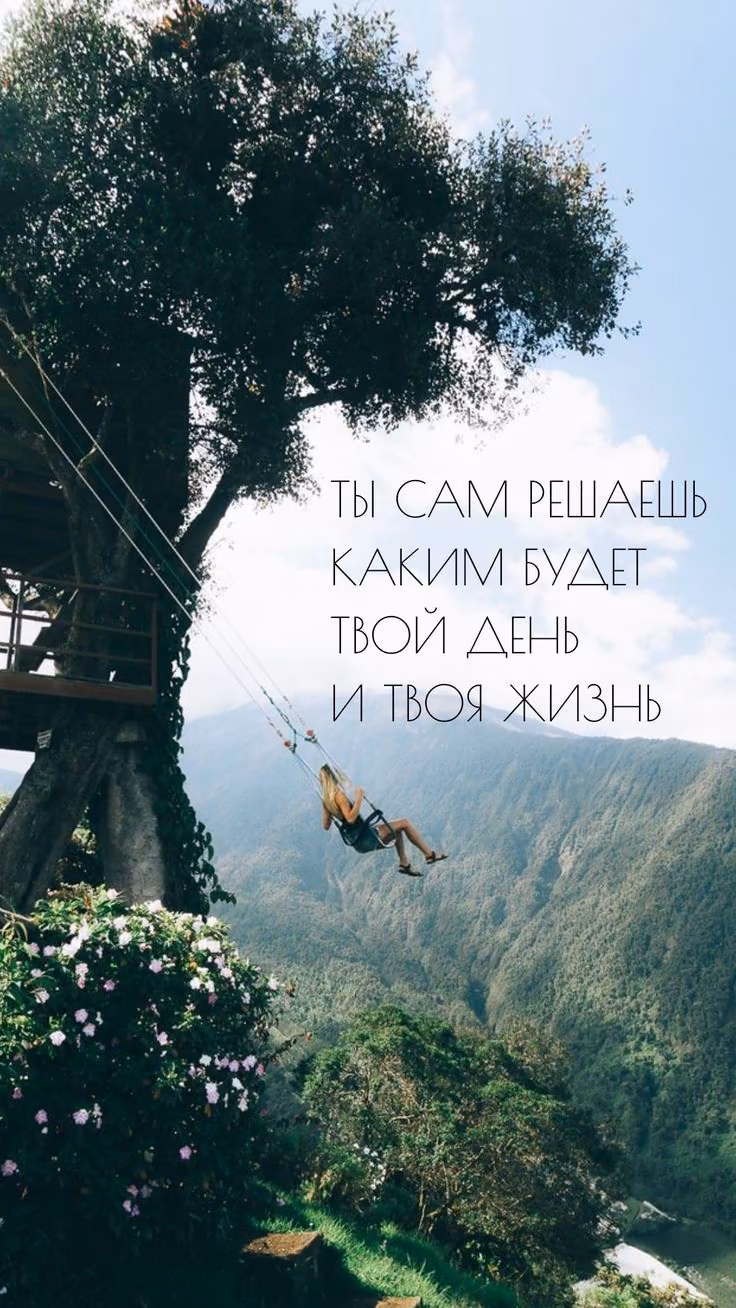 cf0fb028801c23f24bdeaa73547d8816.avif