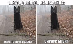 cf11f961fe355453f1f3b2d7d4ec804b.avif