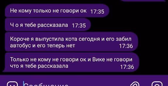 cf137257870c0fce3ae030d67447feca.avif