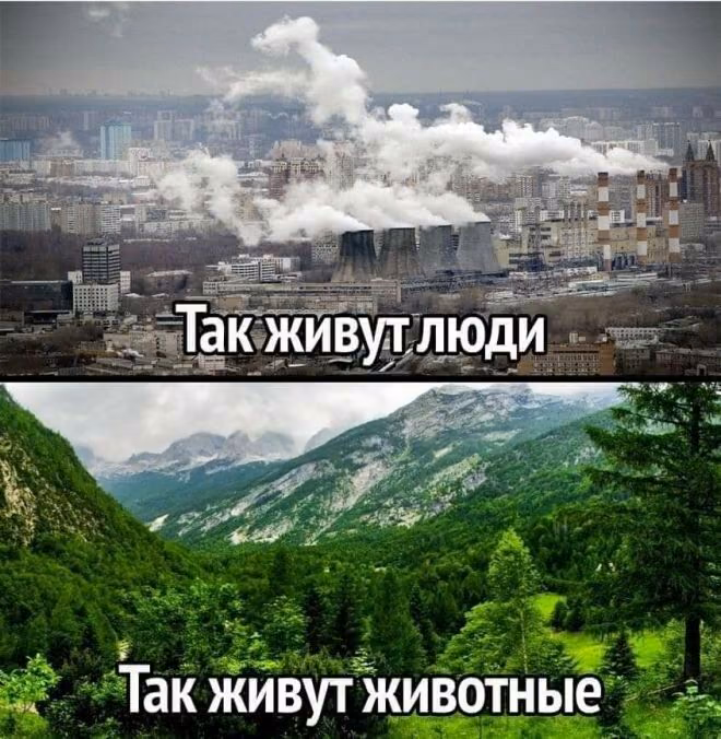 cf255d068726208865eda1d728e9a1e9.jpg